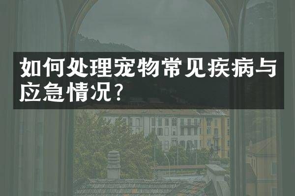 如何处理宠物常见疾病与应急情况？