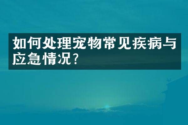 如何处理宠物常见疾病与应急情况？