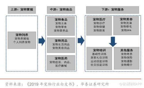 宠物屁股破，速查应急处理方法