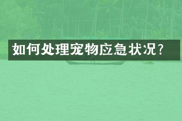 如何处理宠物应急状况？