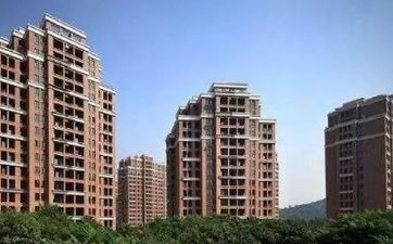 家里养仓鼠为啥不吉利呀怎么回事 家里养仓鼠对风水好吗2023