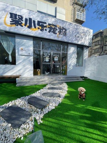 发现一家宝藏宠物店铺！萌宠家长们快来看