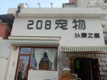 208宠物以爱之名