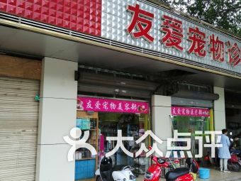 柳州宠物圈，宠友聚集地