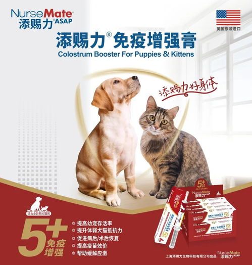 宠物消瘦?营养补充,科学增重!