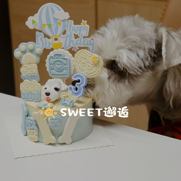Sweet邂逅的猫零食湿粮包/餐盒