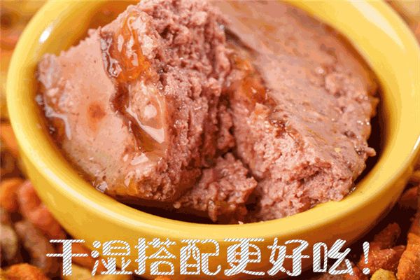 golove宠物加盟