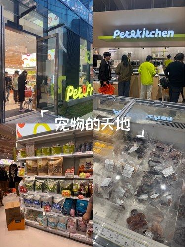 宠物的天地