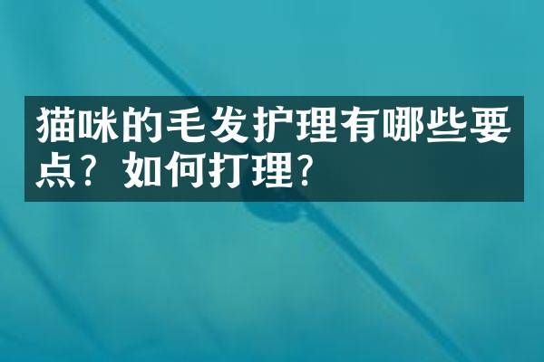 猫咪的毛发护理有哪些要点？如何打理？