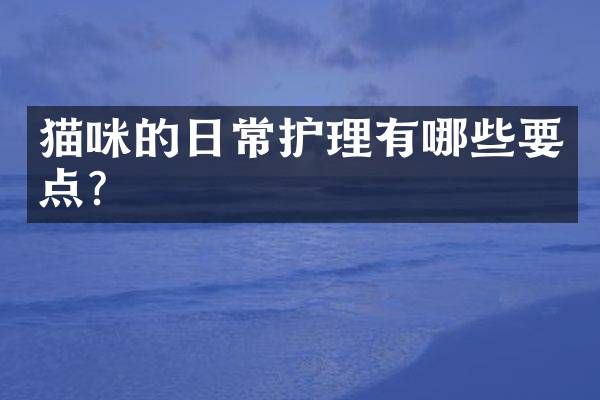 猫咪的日常护理有哪些要点？