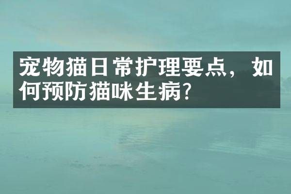 宠物猫日常护理要点，如何预防猫咪生病？