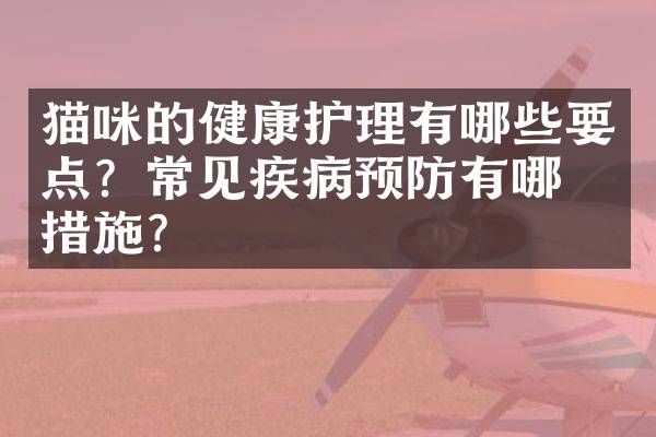 猫咪的健康护理有哪些要点？常见疾病预防有哪些措施？