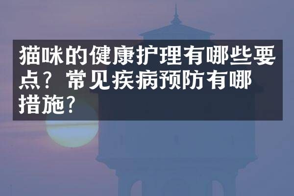 猫咪的健康护理有哪些要点？常见疾病预防有哪些措施？