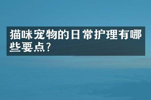 猫咪宠物的日常护理有哪些要点？