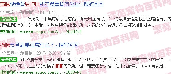 猫咪绝育术后护理要点 - 猫咪绝育术后护理-第2张图片-漂亮宠物百科网