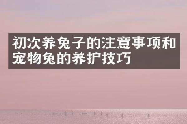 初次养兔子的注意事项和宠物兔的养护技巧