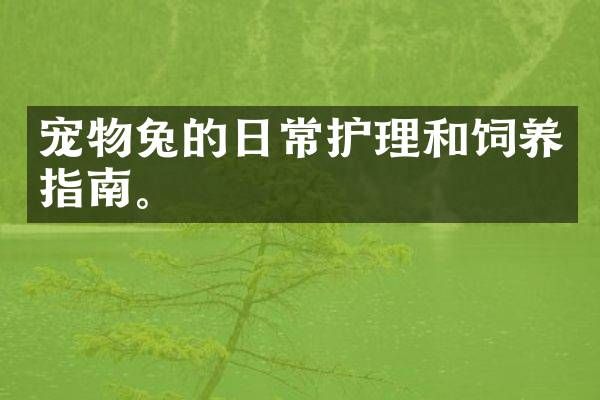 宠物兔的日常护理和饲养指南。