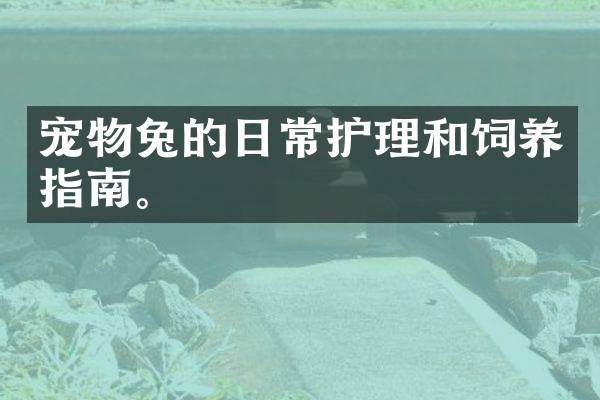 宠物兔的日常护理和饲养指南。