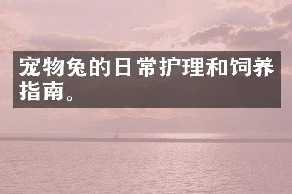 宠物兔的日常护理和饲养指南。