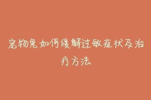 宠物兔如何缓解过敏症状及治疗方法