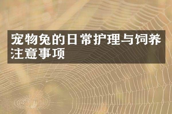 宠物兔的日常护理与饲养注意事项