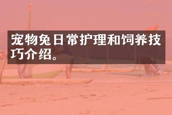 宠物兔日常护理和饲养技巧介绍。