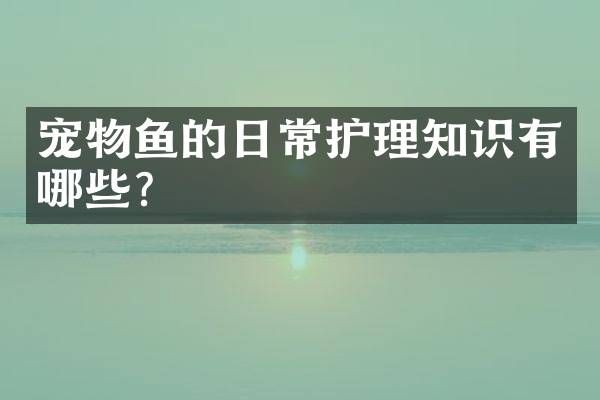 宠物鱼的日常护理知识有哪些？