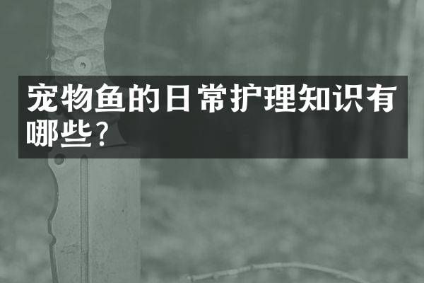 宠物鱼的日常护理知识有哪些？