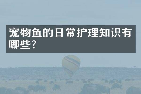宠物鱼的日常护理知识有哪些？