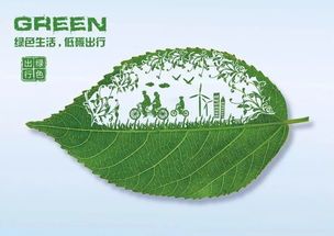 宠物环保生活，绿色相伴每一天