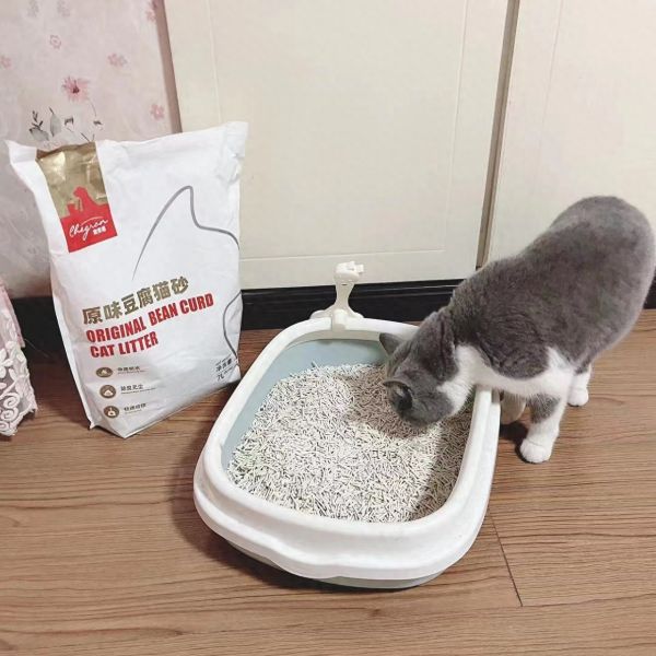 怎么用猫砂比较节省?节省猫砂的技巧