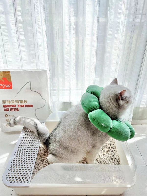 怎么用猫砂比较节省?节省猫砂的技巧
