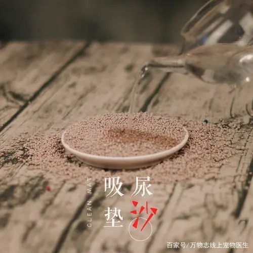 宠物猫砂使用指南,仓鼠专用!