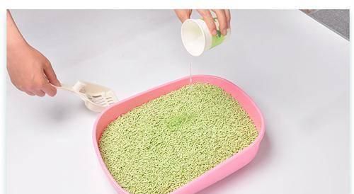 猫砂使用指南——让你的猫咪爱上干净卫生的厕所（从选购到使用）