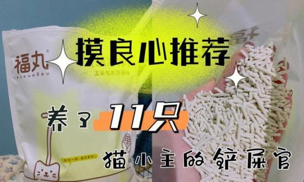猫咪喜欢玩猫砂怎么办？如何纠正这一行为？