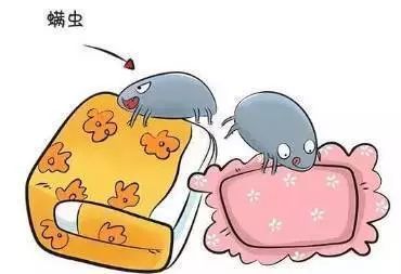 宠物口腔螨虫,口腔卫生不容忽视。