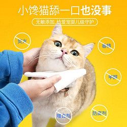 箴彩 宠物清洁湿巾猫咪狗狗杀菌除臭去泪痕湿纸巾擦脚屁股耳朵下巴免洗