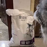 这款猫砂，我实在夸不起来……