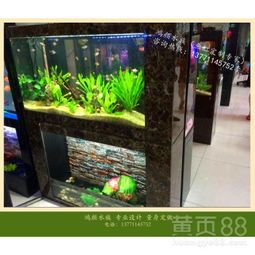 上海鱼缸定制专家，宠物生活必备