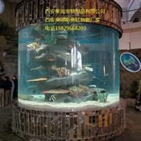 西安海洋水族鱼缸工程 大型玻璃鱼缸 水族箱鱼缸定制 厂家直销ADS