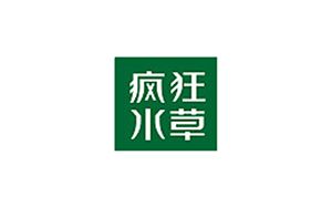 疯狂水草