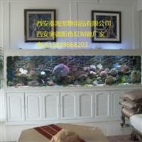 西安鱼缸工程 承接海鲜鱼缸工程 玻璃自然鱼缸 中型水族箱ADS