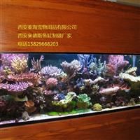 西安封闭式 海水鱼缸 玻璃自然鱼缸 欧式自然鱼缸 酒店鱼缸工程 ADS