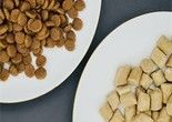 东莞狗粮批发 专业东莞宠物食品与用品服务