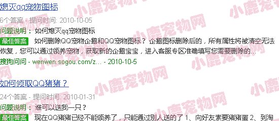 宠物猪头像沙雕