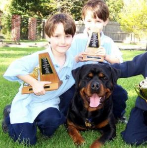 养罗威纳犬要注意哪些 详解罗威纳犬饲养知识