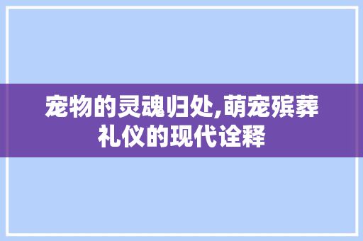 宠物的灵魂归处,萌宠殡葬礼仪的现代诠释