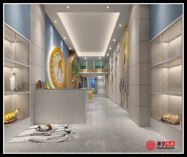 合肥宠物店装修设计：打造温馨宠物乐园.jpg