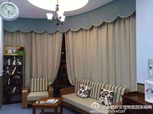 猫医院环境图片