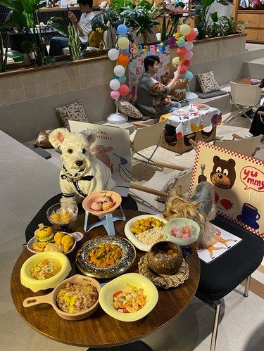 合肥还是太超前了